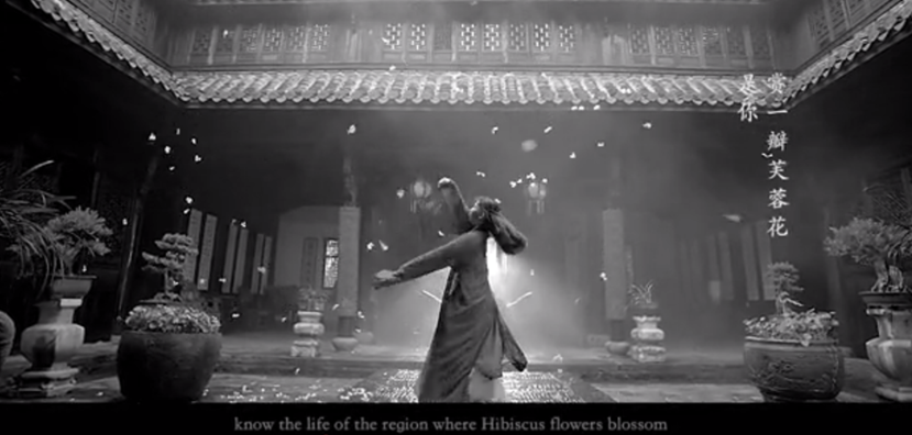 说明: 赏花